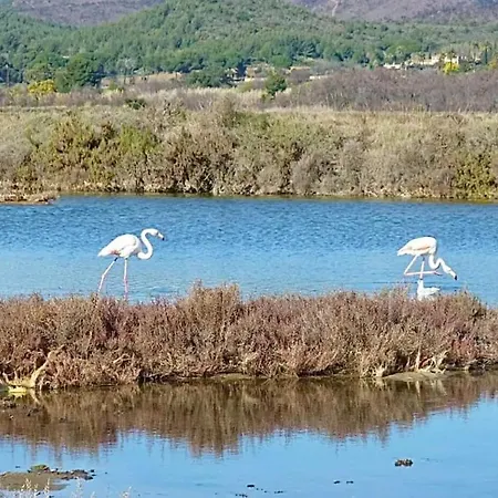 Le Malibu - Port De - A Pied * Carqueiranne